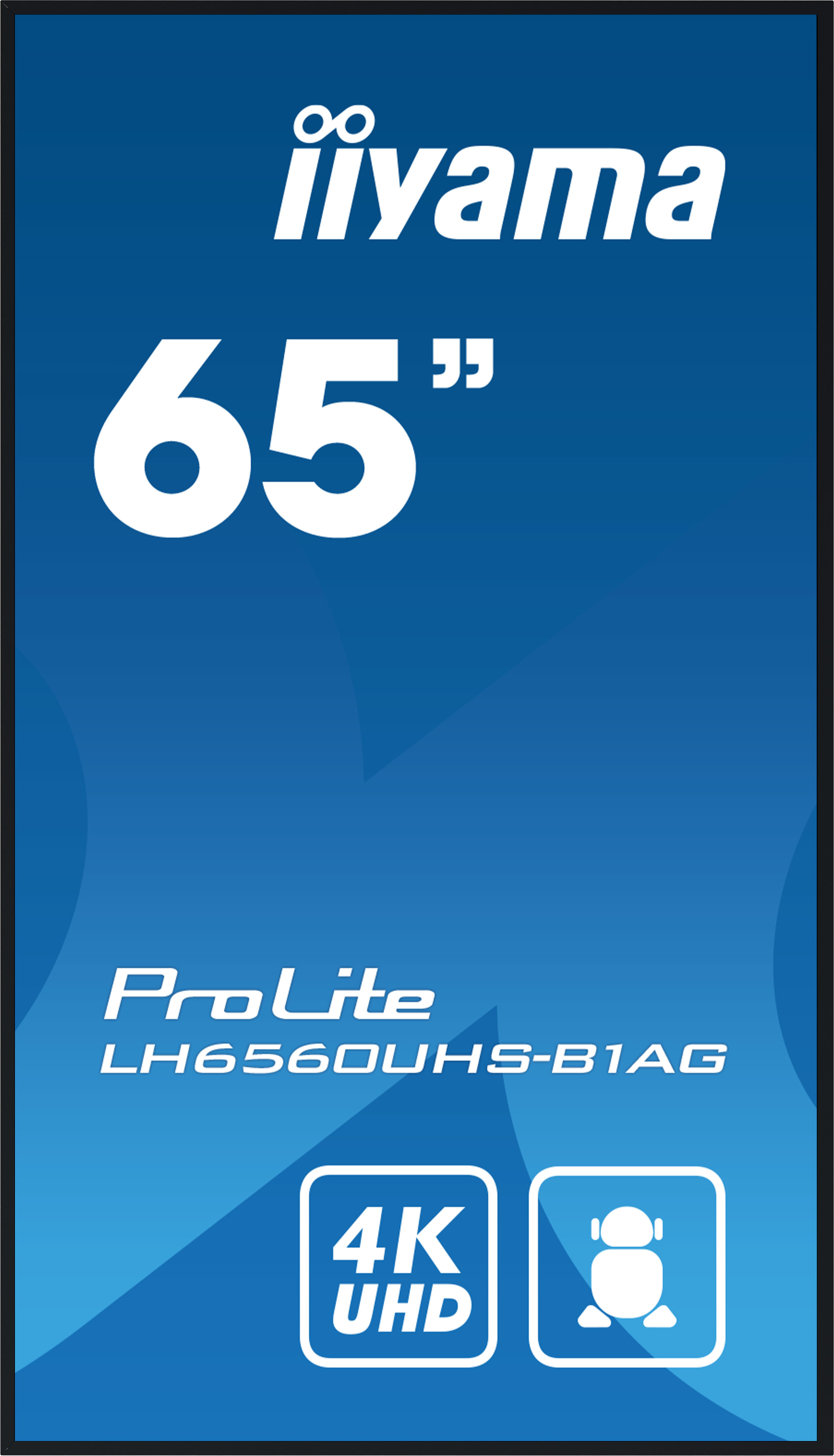 LH6560UHS-B1AG