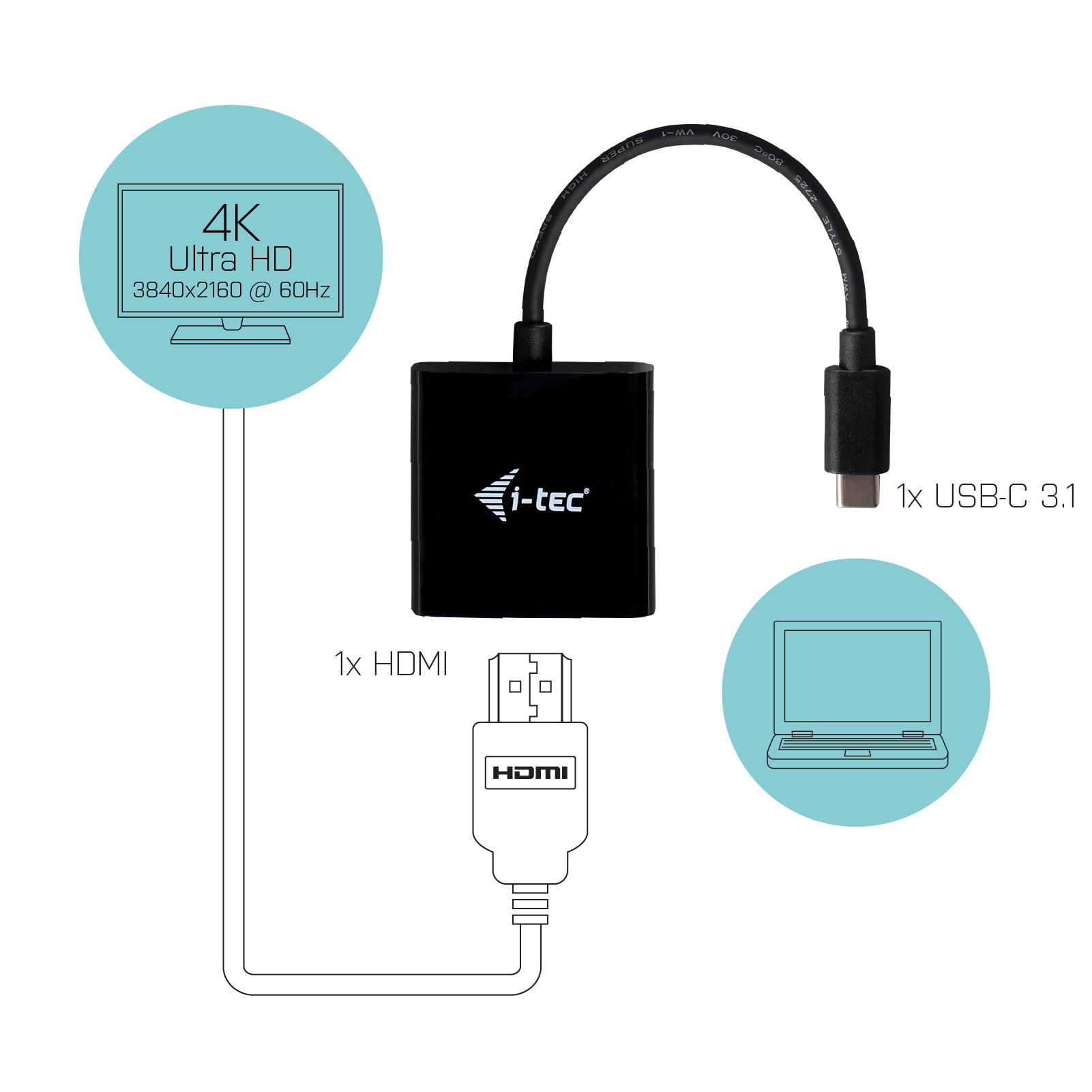 C31HDMI60HZP