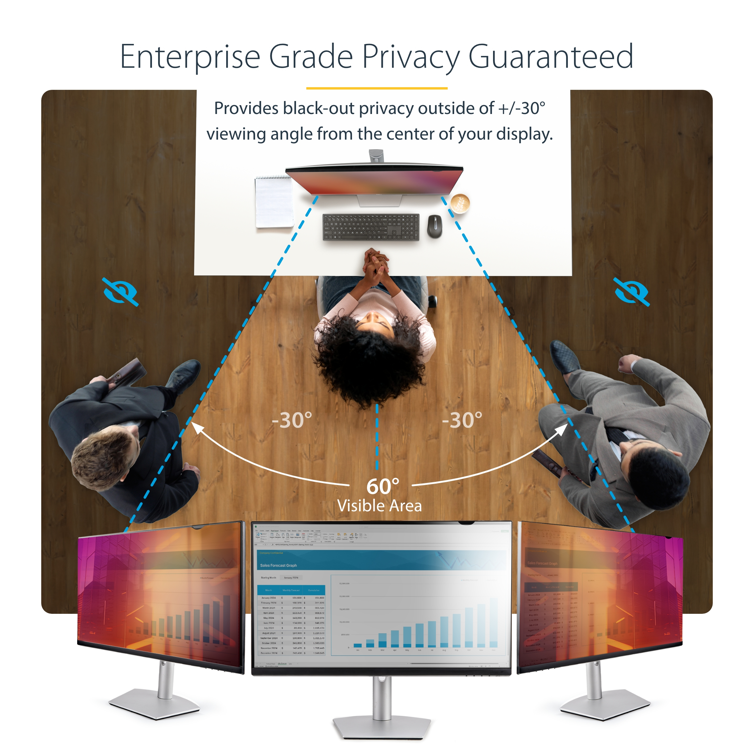 2769G-PRIVACY-SCREEN