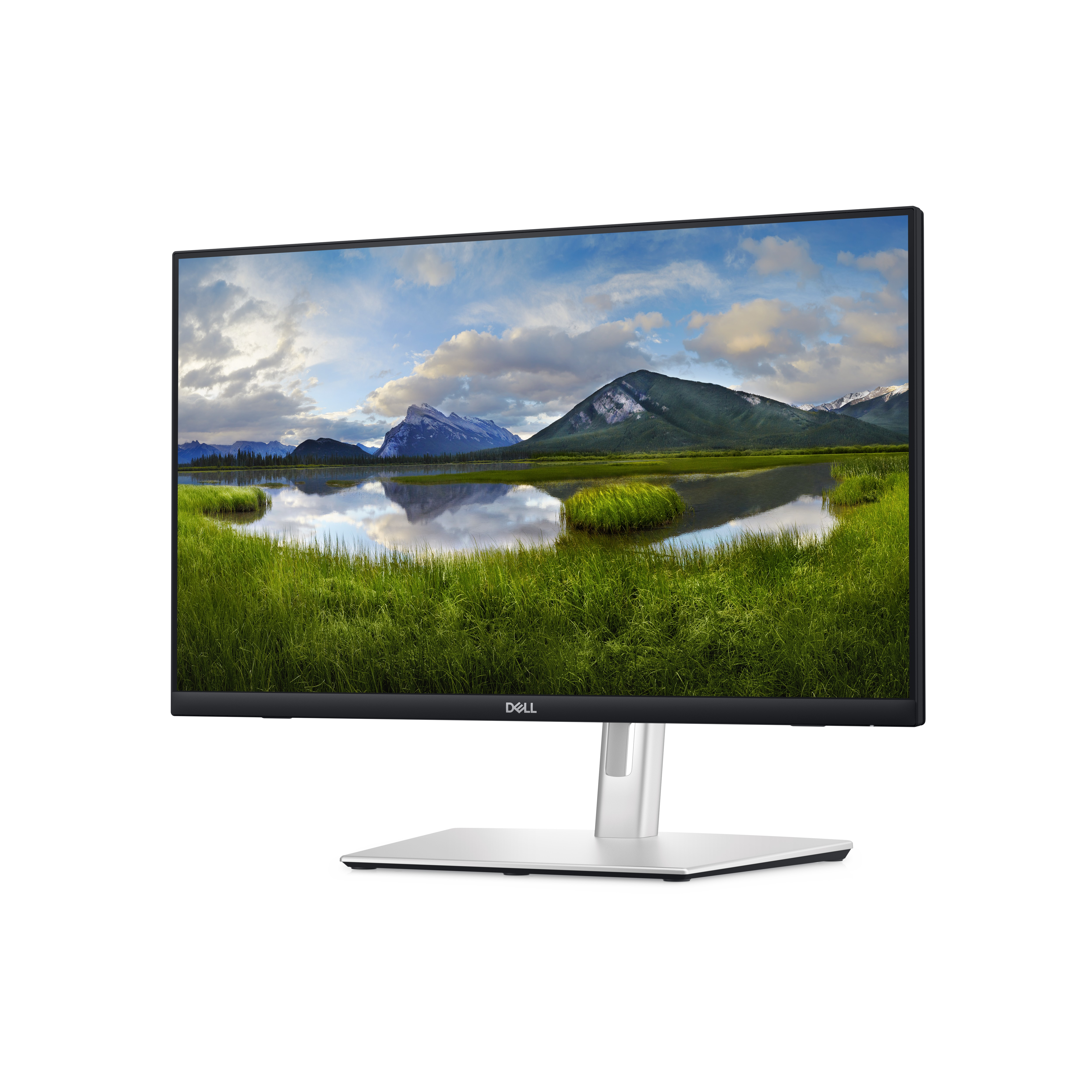 DELL-P2424HT